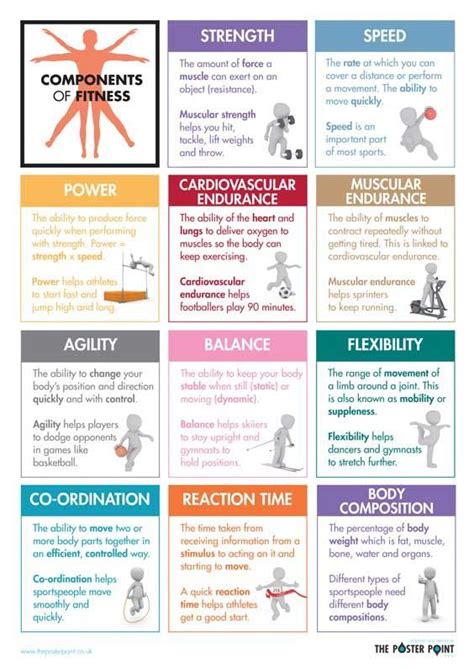 Components Of Fitness Poster Definitions For Gcse Pe Students