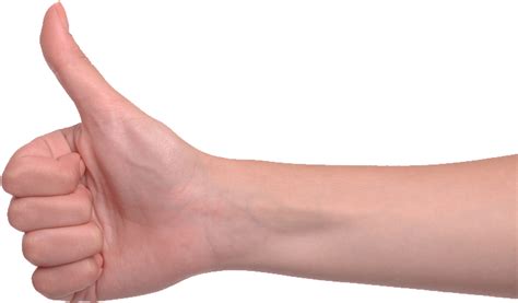 Thumbs Up Arm Thumbs Up Png Clipart Large Size Png Image Pikpng