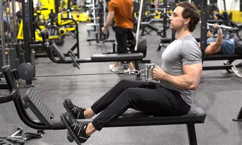 Muscle Worked During Seated Cable Rows Legion