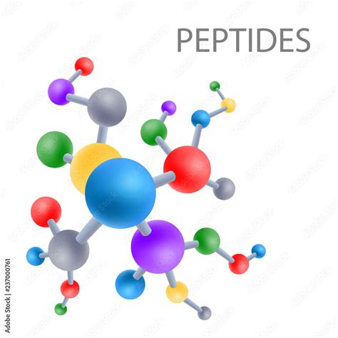 Peptide Structure The Structure Of The Amino Acid Vector Stock Vector