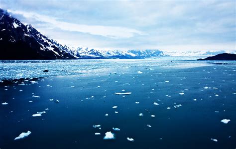 Interesting And Amazing Facts About The Arctic Ocean