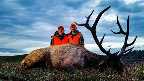 Kentucky Elk Hunting Alertstiklo