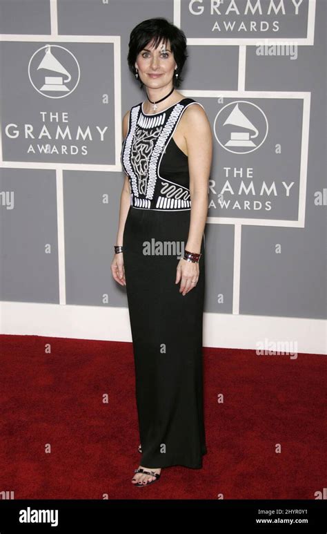 Enya Attends 49th Grammy Awards Los Angeles Picture Hi Res Stock