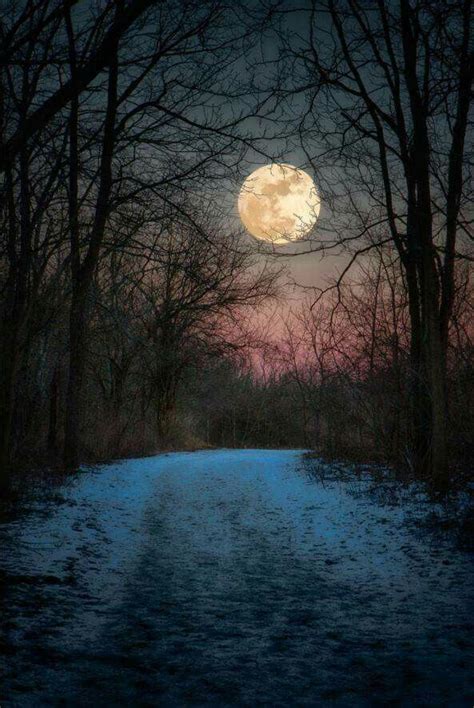 Pin By Ivana Milenkovic On Natë Beautiful Moon Moon Pictures Moonlight