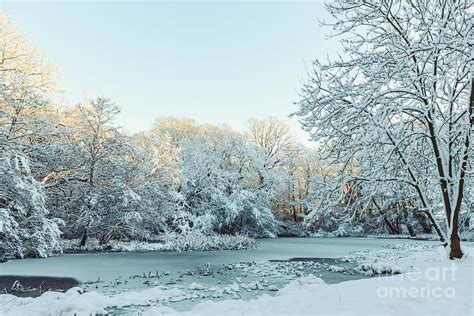 Frozen Pond In Winter Photograph By Amanda Elwell Fine Art America