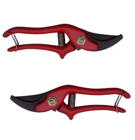 Garden Leaf Cutting Scissor Size 10inch At Rs 95 In Rampur Id