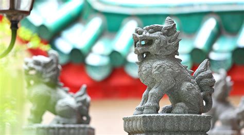 Chinese Dragon Types History Symbolism Legends Trip Ways