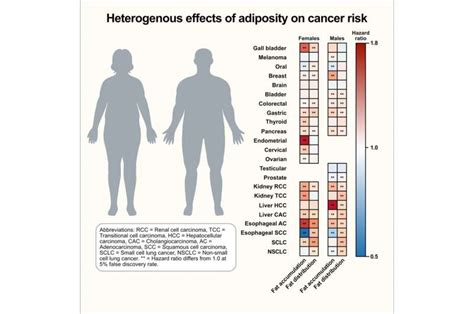 cancer has an obesity related risk factor and it depends on sex and cancer type hale plus hearty