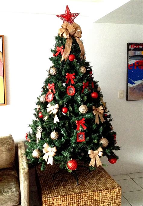 Click here to subscribe to set india channel: Decor de Natal|Como escolher o tipo de árvore de Natal ...