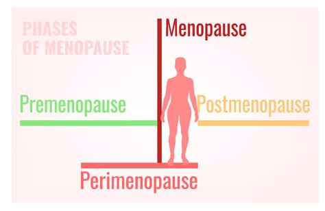 Stages Of Menopause Chapel Hill Hormone Therapy