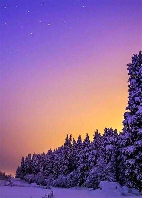 The Sky Is Purple And Orange As It Stands In Front Of Snow Covered Trees