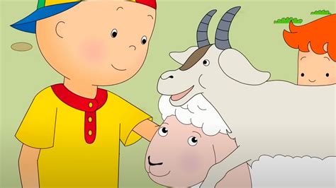 Caillou At The Petting Zoo Funny Animated Caillou Cartoons For Kids