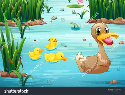 Illustration Ducks Swimming Pond Stock Vector Royalty Free Shutterstock