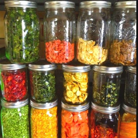 Dehydrated Vegetables Dehydrated Food Dehydrator Recipes