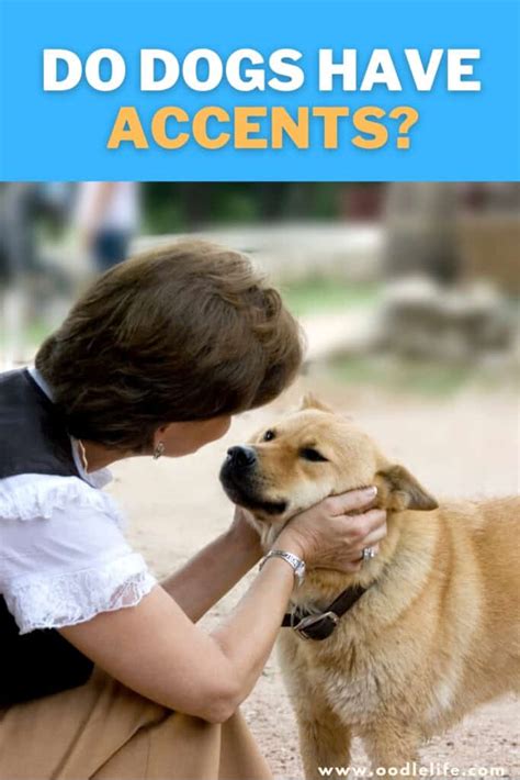 Do Dogs Have Accents What We Know Oodle Life