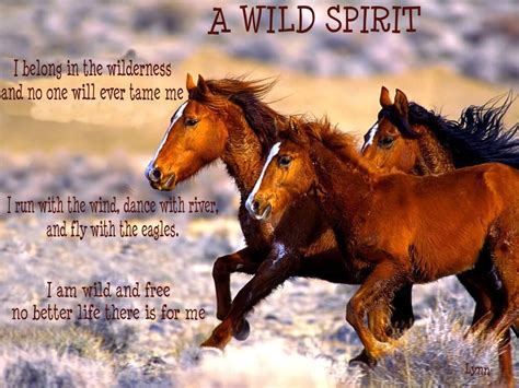 Wild Horses Wild Spirit Homegrown Pinterest Wild Spirit Horse