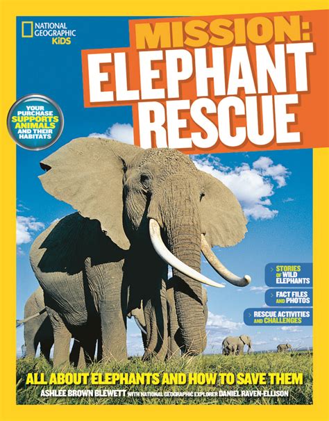 World Elephant Day Help Save Animals With National