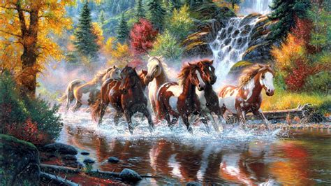 running horses  waterfall  stream hd horse