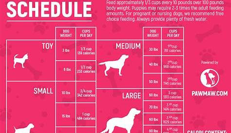 The Ultimate Dog Feeding Schedule Time and Chart in 2021 | Dog feeding