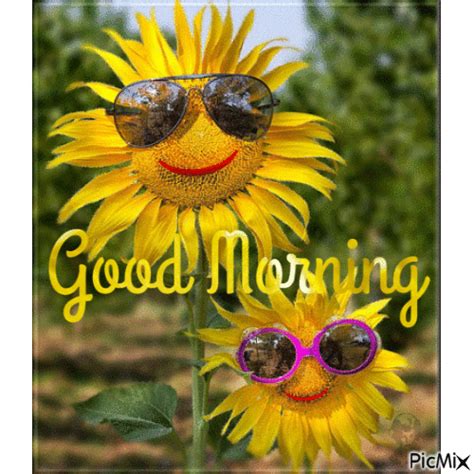 Good Morning Happy Sunflower S Pictures Photos And