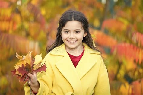 Fall Diffuser Blends Happy Child Walk On Autumn Landscape Small Kid