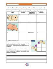 Check spelling or type a new query. Amoeba Sisters Natural Selection Worksheet Answer Key ...