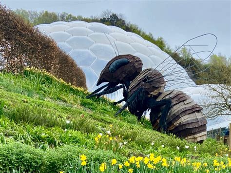 Eden Project Cornwall Review Photos Helpful Visitor Information