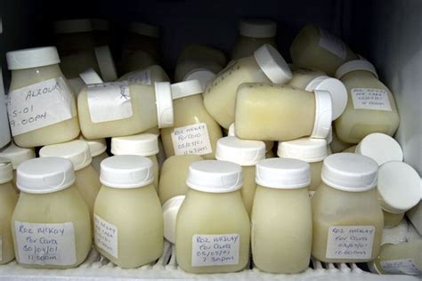Mum Forced To Dump Four Gallons Of BREAST MILK By Heathrow Airport Security Staff Irish