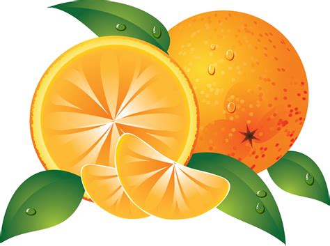Oranges Clipart Free 20 Free Cliparts Download Images On Clipground 2024