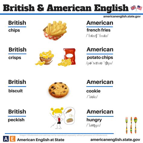 British Vs American English 100 Differences Illustrated Bored Panda