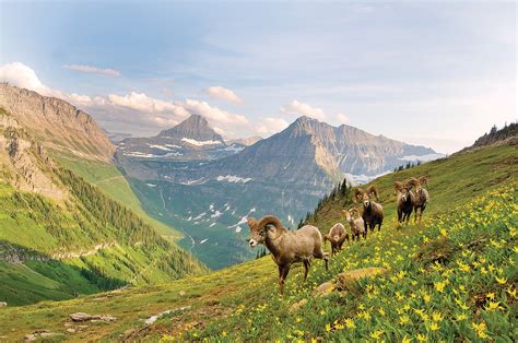 Permits To Park One Way Hiking On Highline Trail Just Some Of Changes