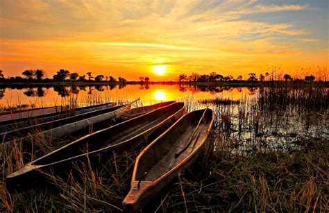 Okavango Delta Safari In Botswana Travel Guide