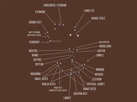 Face Piercings Chart