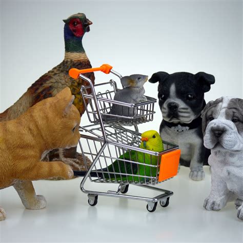 Fotos Gratis Tienda Negocio Compras Ilustración Animales Cestas