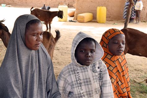 Goats Save People From Hunger In Niger Caritas Livelihood Project