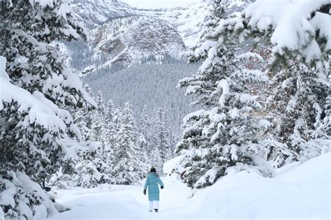 Real Life Narnia A Guide To Jasper Lake Louise And Banff