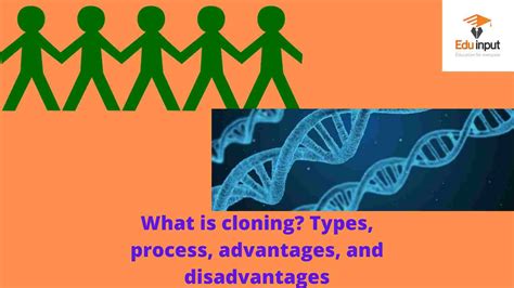 What Is Cloning Types Process Advantages And Disadvantages