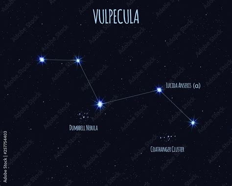 Vulpecula The Fox Constellation Vector Illustration With The Names