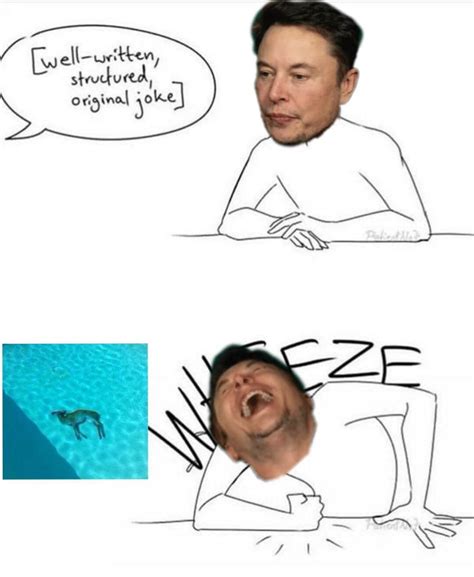 Or is this a moon & shoulders pattern forming. Elon Musk hosts meme review 👏🏼👏🏼 - 9GAG