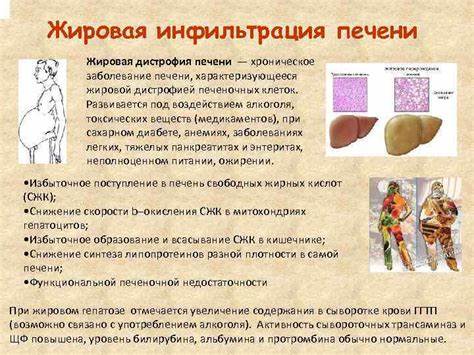 НАРУШЕНИЯ ЛИПИДНОГО ОБМЕНА ЛИПИДЫ — группа различных Картинка - НАРУШЕНИЯ ЛИПИДНОГО ОБМЕНА ЛИПИДЫ — группа различных