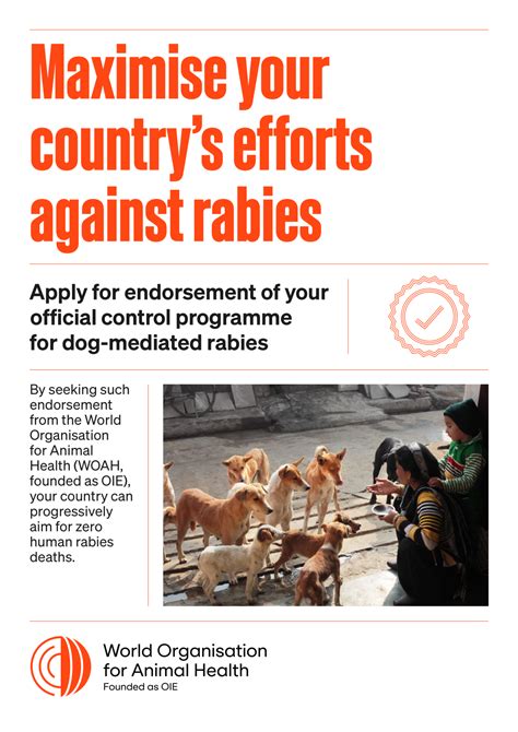 World Rabies Day 2023 All For One One Health For All Woah