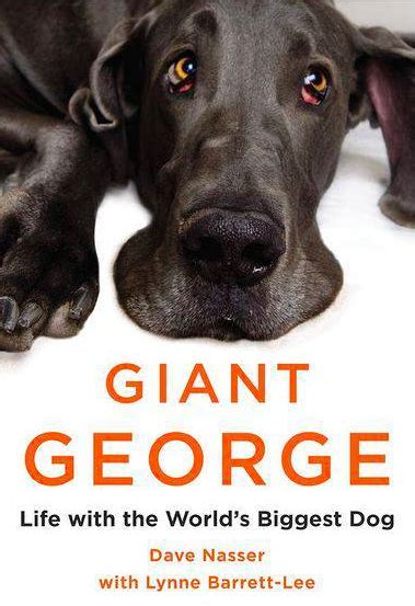 Worlds Tallest Dog Photos Video 7 Ft Giant George Dies Aged 7