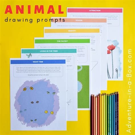 Animal Drawing Prompts Adventure In A Box