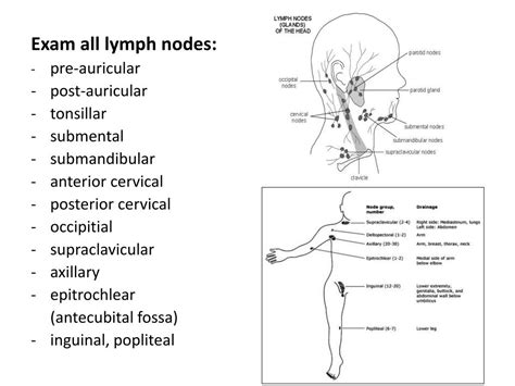 What Causes Lymph Nodes Under Arm To Swell Swollen Lymph Nodes