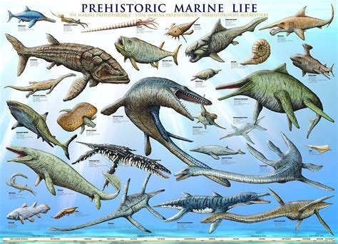 Image Result For Ancient Aquatic Dinosaur Prehistoric Marine Life
