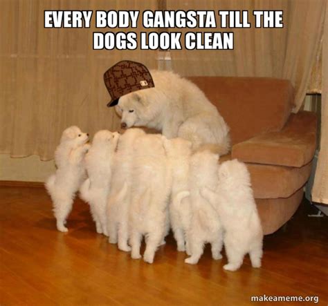 Every Body Gangsta Till The Dogs Look Clean Scumbag Storytelling Dog