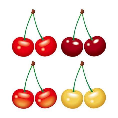 Bing Cherry Illustrations Royalty Free Vector Graphics And Clip Art Istock