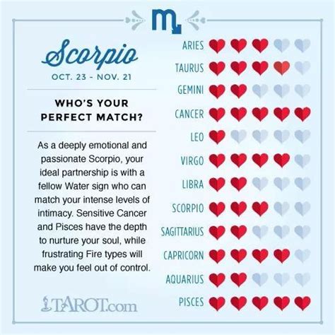 Looking For My Perfect Match Zodiac Sign Love Compatibility