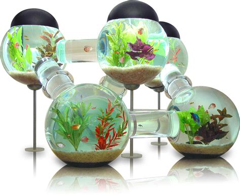 Labyrinth Aquarium Luxurious Home For Your Fish — Extravaganzi