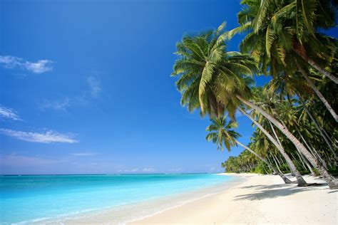 Free Download Wallpaper Tropical Beach Screensaver Hd Wallpaper